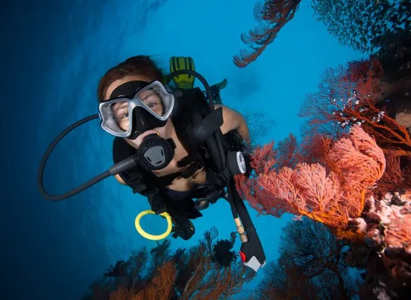 Great Barrier Reef Diving and Snorkeling Cruise from Cairns